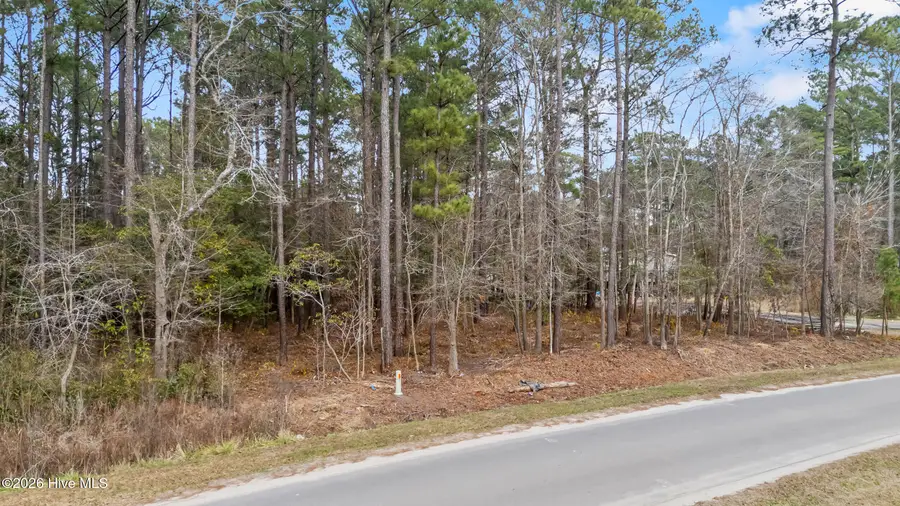 Lot 4 Copperhead Lane, Burgaw, NC 28425 - Image #3