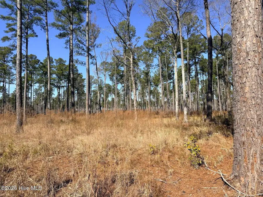 0 Sr 1119 Off, Chocowinity, NC 27817 - Image #2