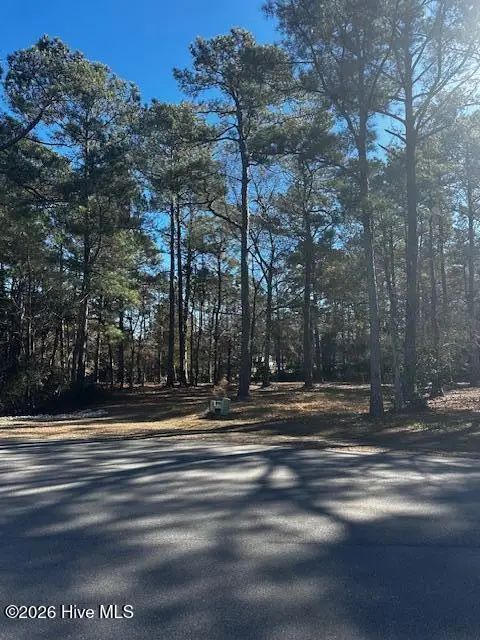 137 Eagle Court Sw, Supply, NC 28462 - #2