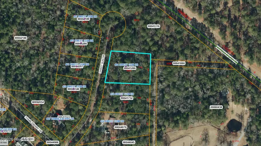 464 Sweet Gum Drive, Vass, NC 28394 - #3