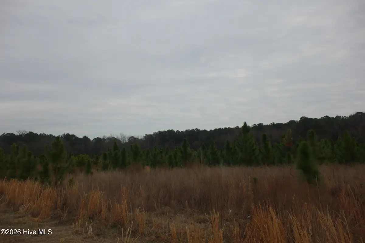 Lot 45 Stuarts Mill Road, Fairmont, NC 28340 - #1