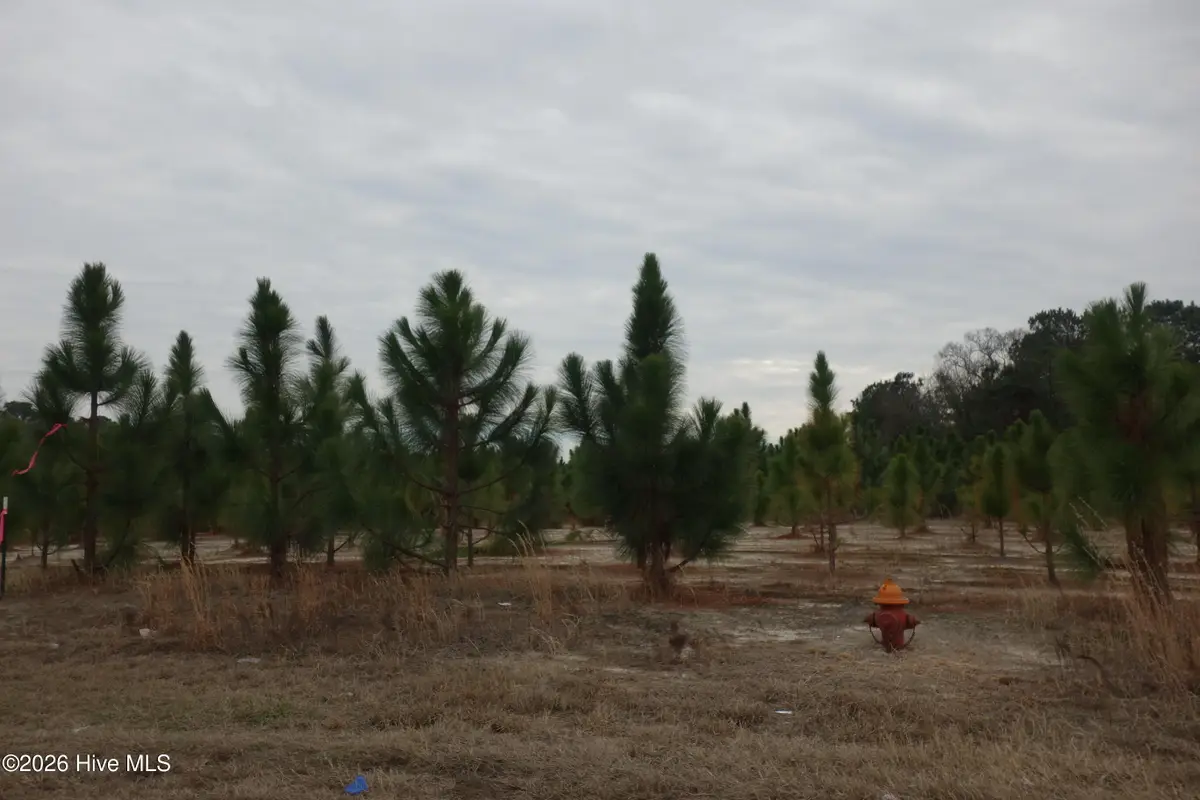 Lot 41 Stuarts Mill Road, Fairmont, NC 28340 - #1