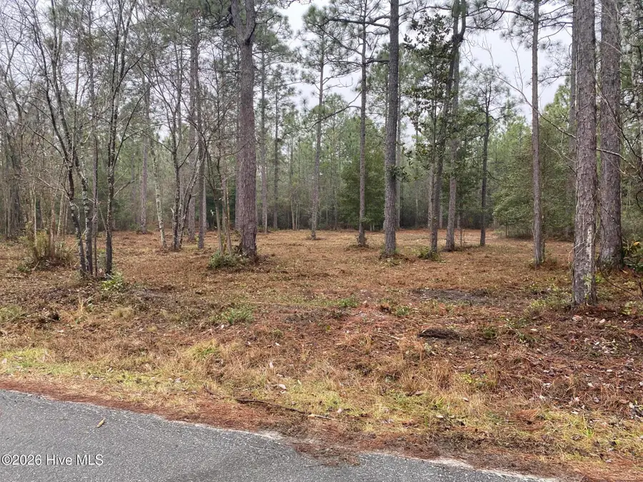 Lot 32-33 Ash Road, Boiling Spring Lakes, NC 28461 - Image #3