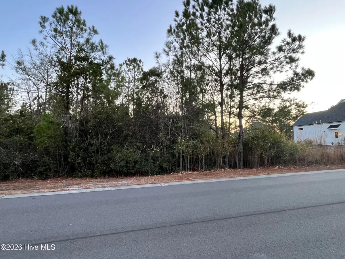 2961 Old Berwick Street Sw, Shallotte, NC 28470 - #1