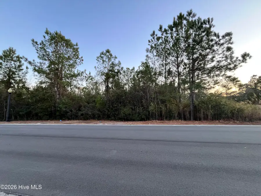 2961 Old Berwick Street Sw, Shallotte, NC 28470 - #3