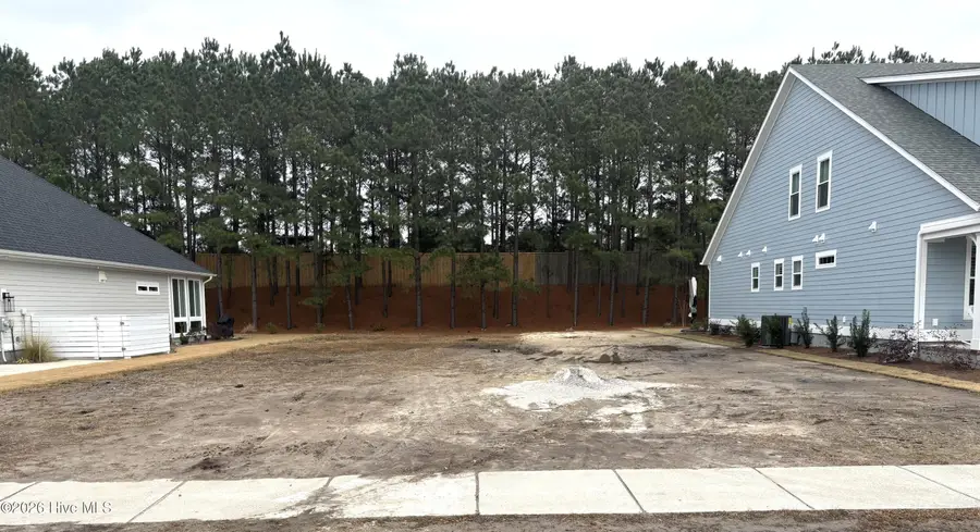 2197 Palm Pointe Pointe Ne, Leland, NC 28451 - #2