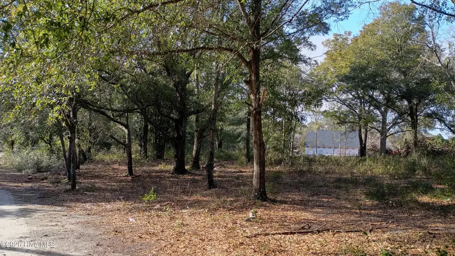 203 Flemington Road, Wilmington, NC 28401 - #3