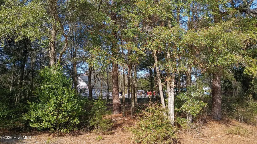 217 Clinton Street, Wilmington, NC 28401 - #3