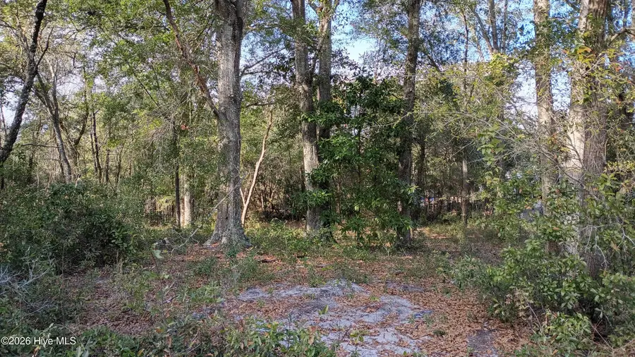 223 Clinton Street, Wilmington, NC 28401 - #2