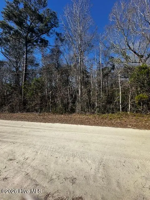 289 Tuliptree Lane Sw, Supply, NC 28462 - #2