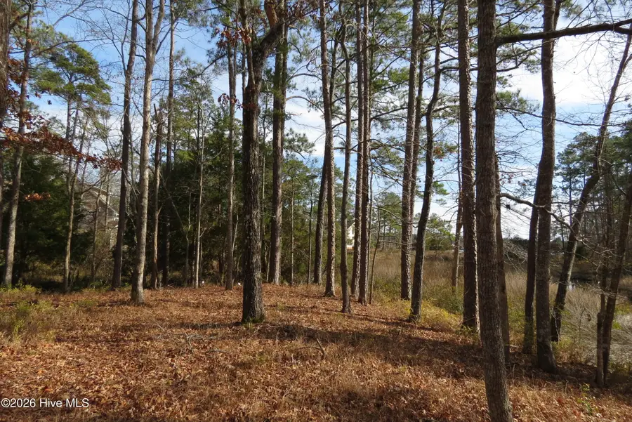 280 Winding Creek Drive, Oriental, NC 28571 - Image #2