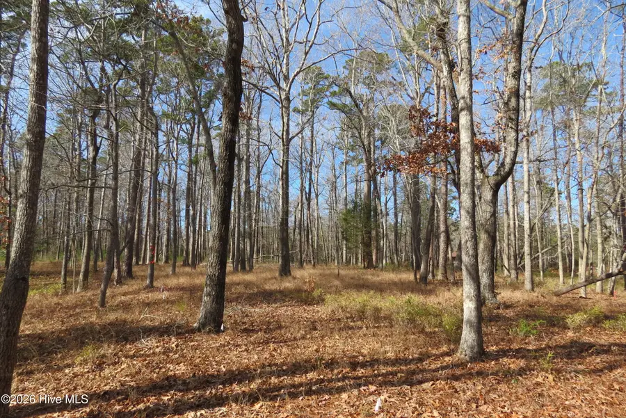 280 Winding Creek Drive, Oriental, NC 28571 - Image #3