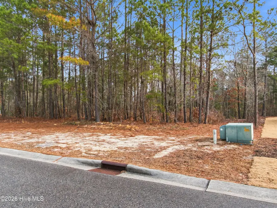 3772 Silver Melon Road Ne, Leland, NC 28451 - Image #2