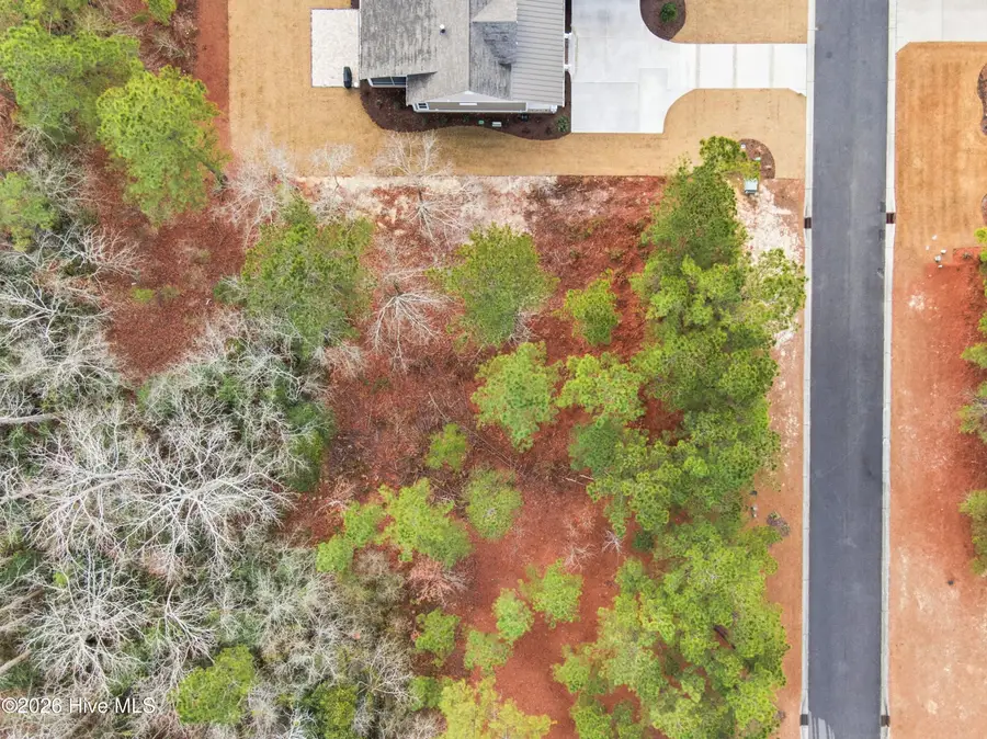 3772 Silver Melon Road Ne, Leland, NC 28451 - Image #3