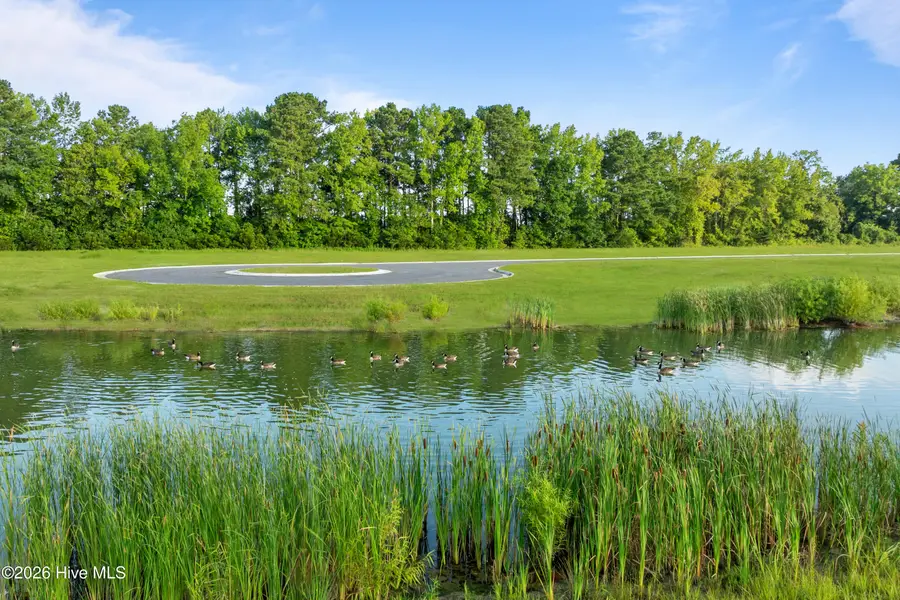 209 Myrtle Lane, South Mills, NC 27976 - Image #3