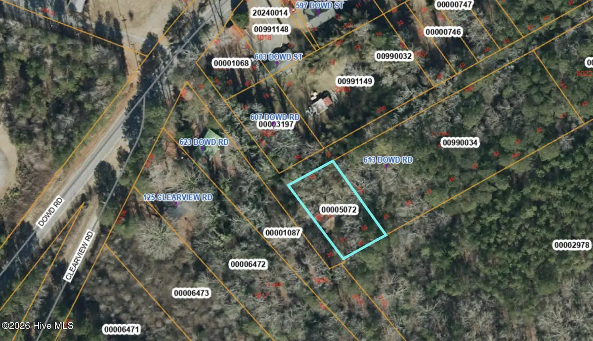 Lot 50/51, Dowd Road, Carthage, NC 28327 - Image #1