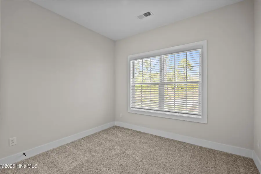 103 Umbrella Palm Drive, Hampstead, NC 28443 - Image #2