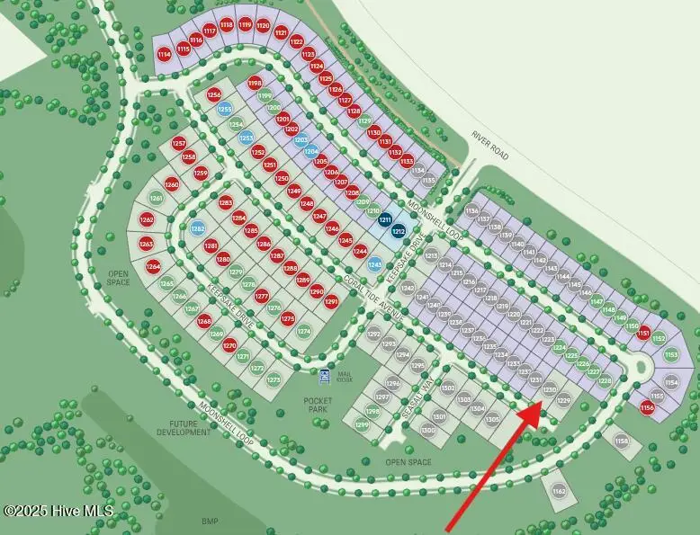 5637 Coral Tide Avenue, Wilmington, NC 28412 - Image #3