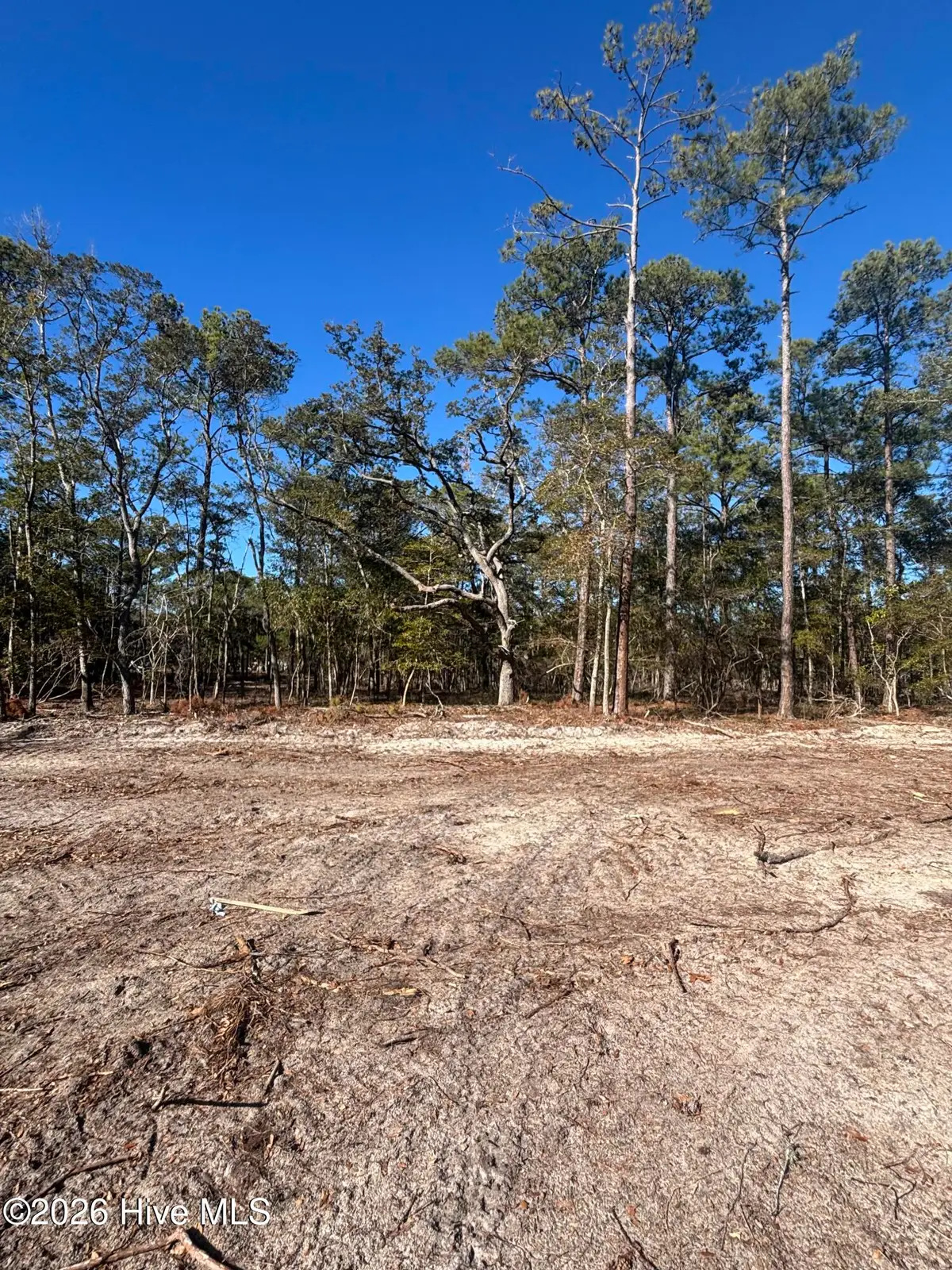 Lot 112 Coral Gull Street, Southport, NC 28461 - Image #1