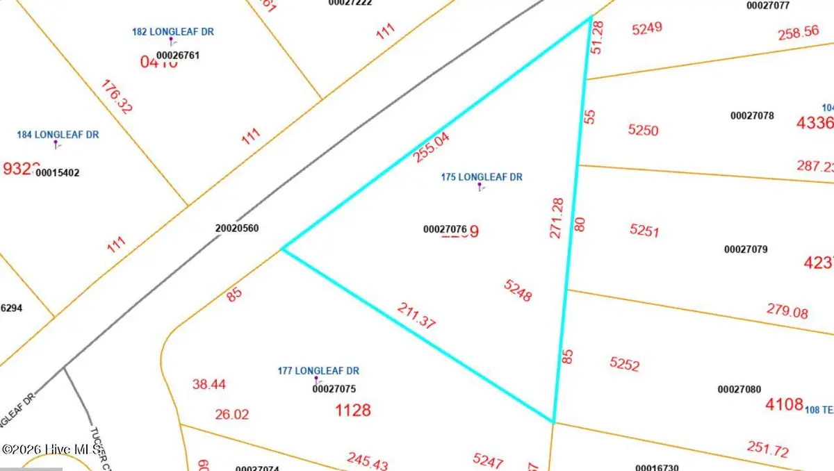 175 Longleaf Drive, West End, NC 27376 - Image #1