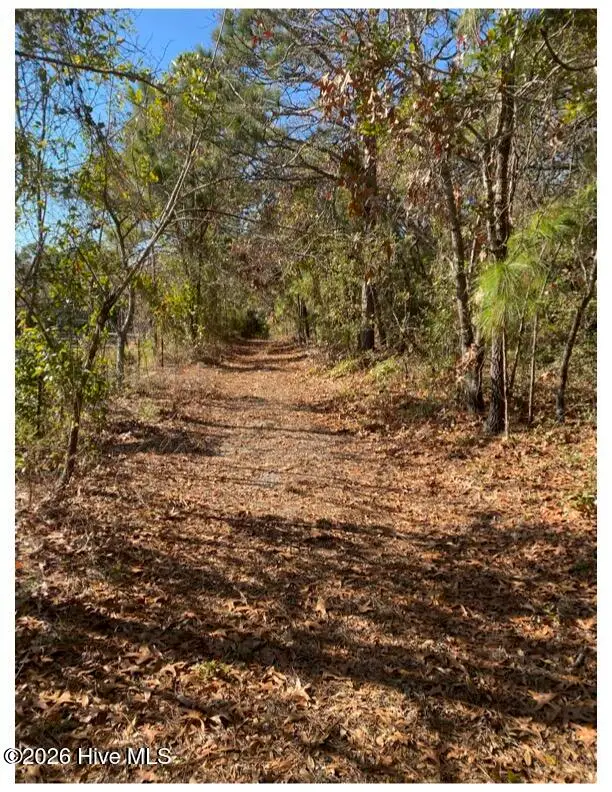 6511 Carolina Beach Road, Wilmington, NC 28412 - Image #1