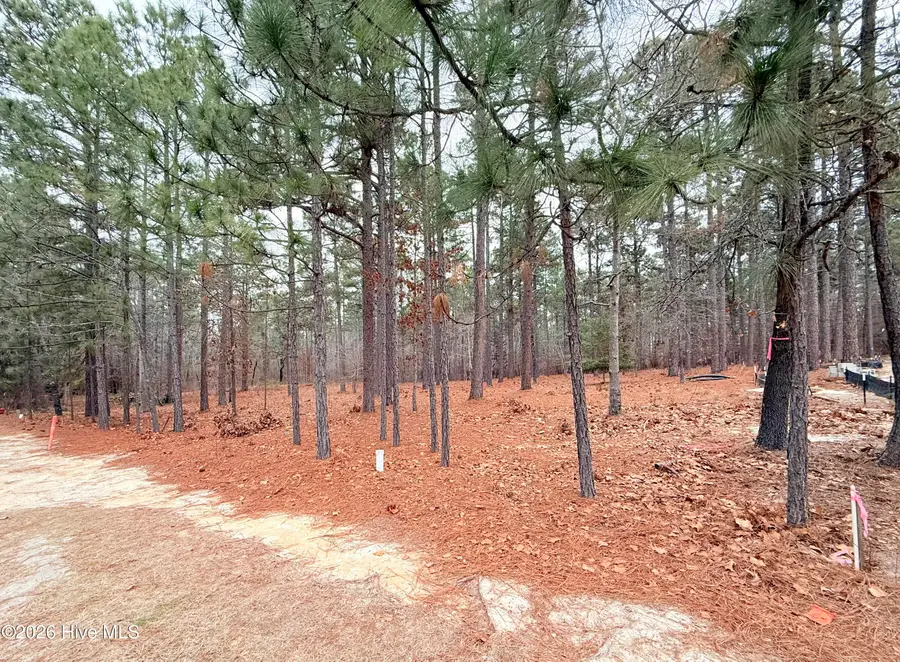 14 Kilbride Drive, Pinehurst, NC 28374 - Image #2