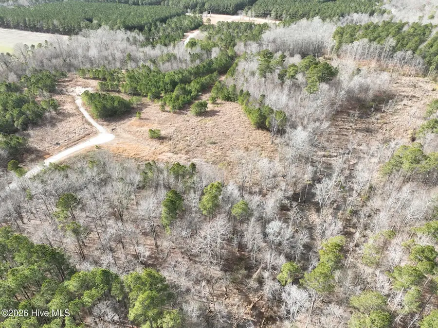 405 Batts Island Road, Edenton, NC 27932 - Image #3