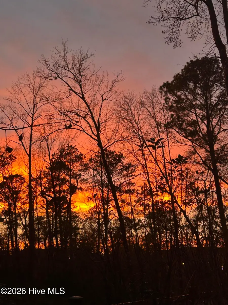 9738 Salty Apple Circle Ne, Leland, NC 28451 - Image #2