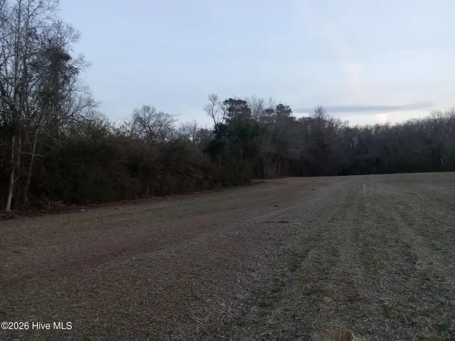 Near 7520 Sam Potts Highway, Whiteville, NC 28472 - #3