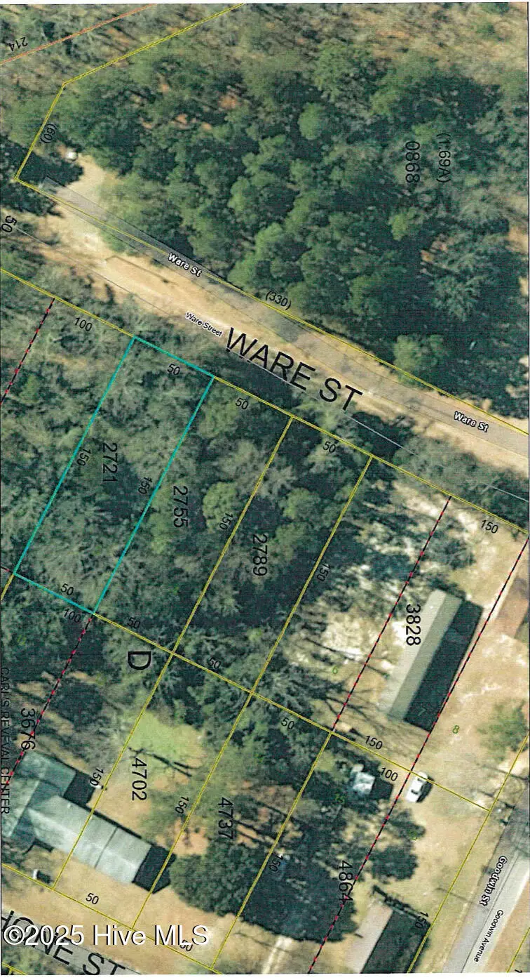 Lot 3 Ware Street, Hamlet, NC 28345 - #1