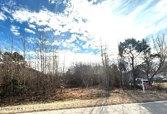 2 Boswell Road, Kenly, NC 27542 - #2