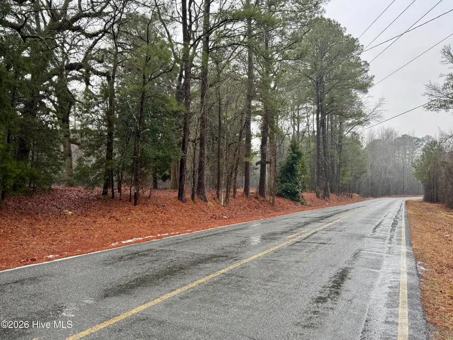 15181 Elmore Road, Laurinburg, NC 28352 - #3