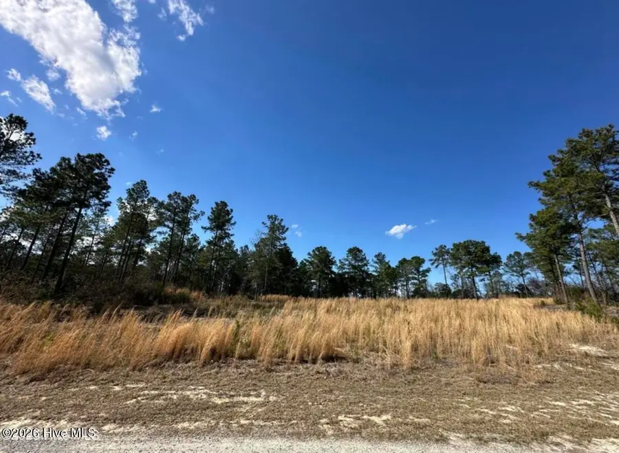 565 Susie Circle, Cameron, NC 28326 - #2