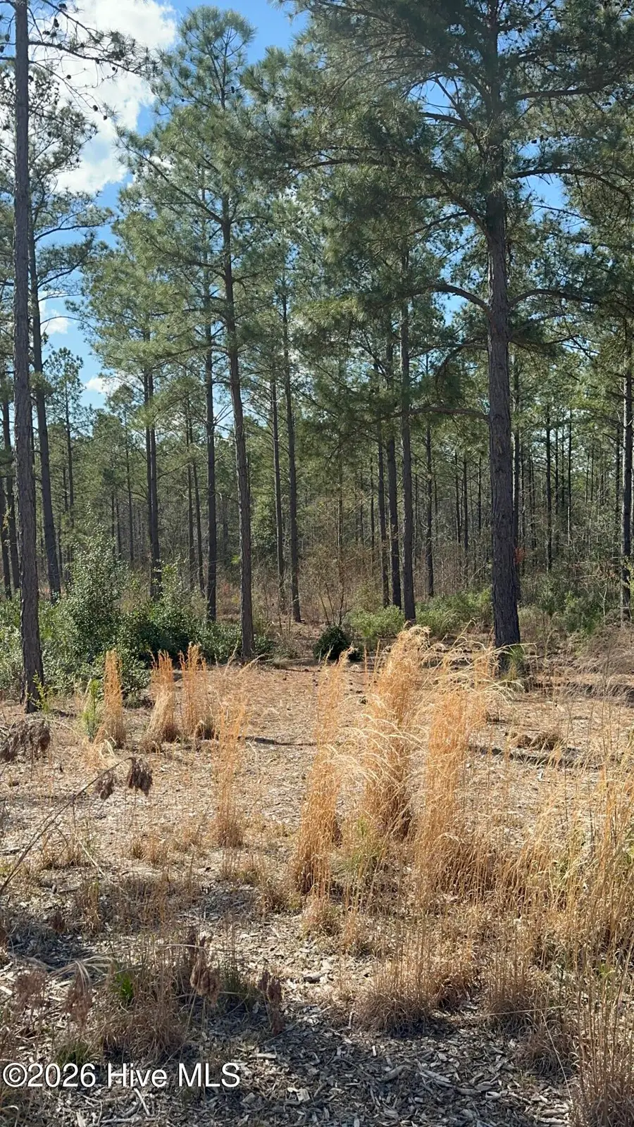 565 Susie Circle, Cameron, NC 28326 - #3