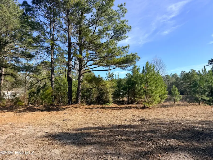 Lot 21 Branch Drive, Burgaw, NC 28425 - Image #2