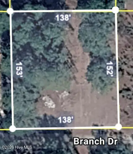 Lot 21 Branch Drive, Burgaw, NC 28425 - Image #3