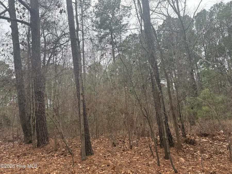 474 Stanton Hill Road, Cameron, NC 28326 - #2