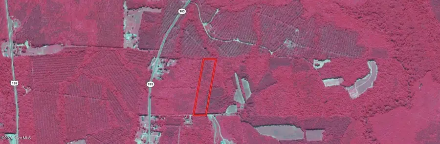 0 Highway 903, Roanoke Rapids, NC 27870 - Image #3