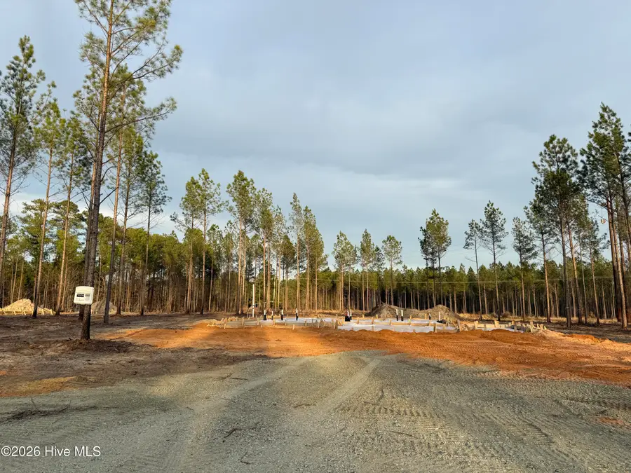 Tbd Doubs Chapel Road #Lot 3, West End, NC 27376 - #3