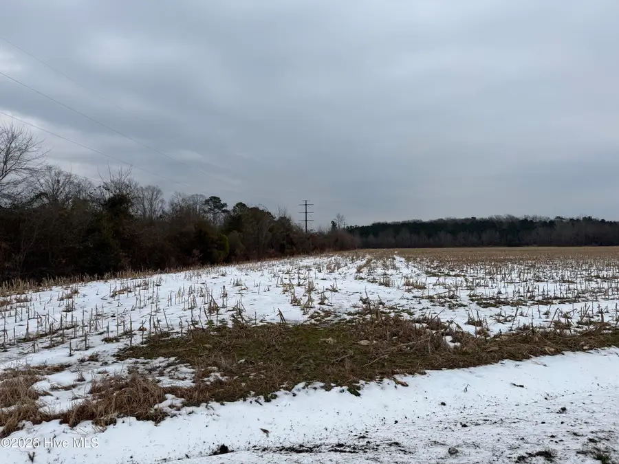 Lot 2 Beasley Road, Roper, NC 27970 - Image #2