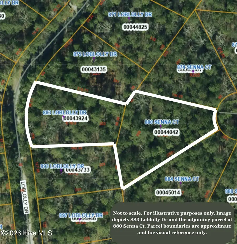 883 Loblolly Drive, Vass, NC 28394 - #2