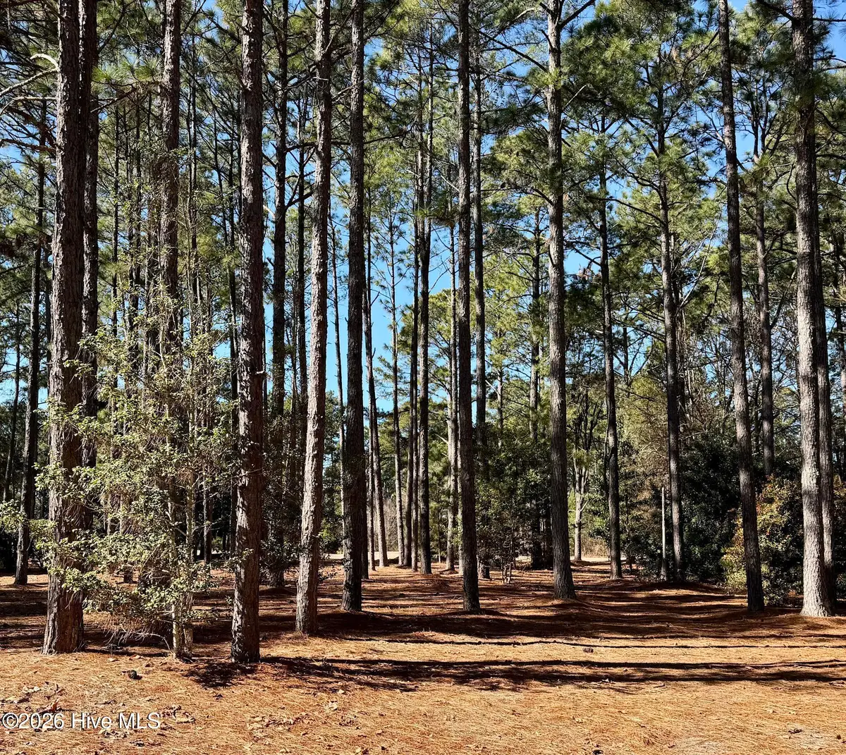 195 Erfie Drive N, Pinebluff, NC 28373 - #1