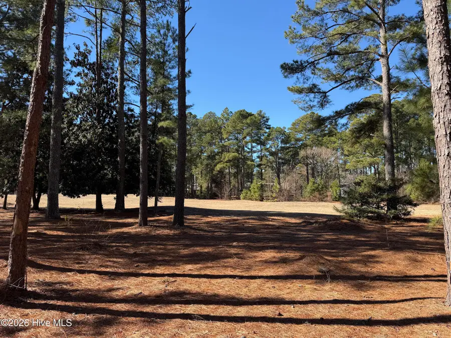 195 Erfie Drive N, Pinebluff, NC 28373 - #2