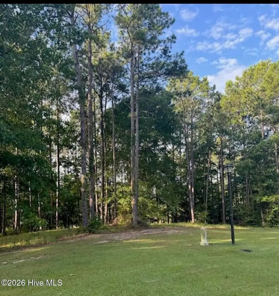 1049 Mill Creek Drive, Minnesott Beach, NC 28510 - #2