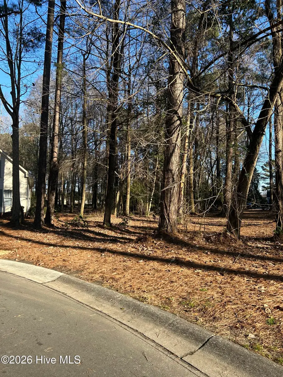 172 Southern Magnolia Lane, Wallace, NC 28466 - Image #2