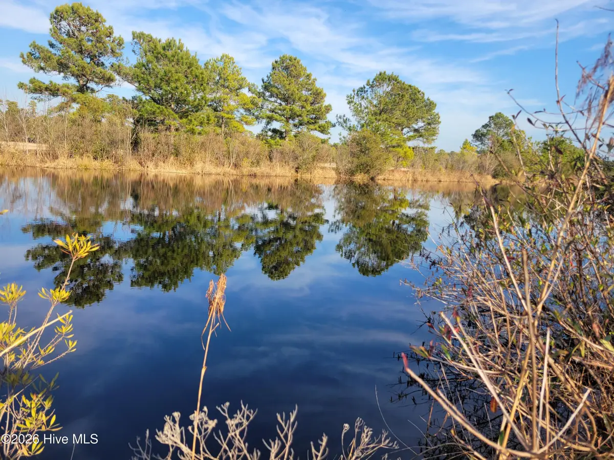 Lot 428 Bay Tree Drive, Harrells, NC 28444 - #1