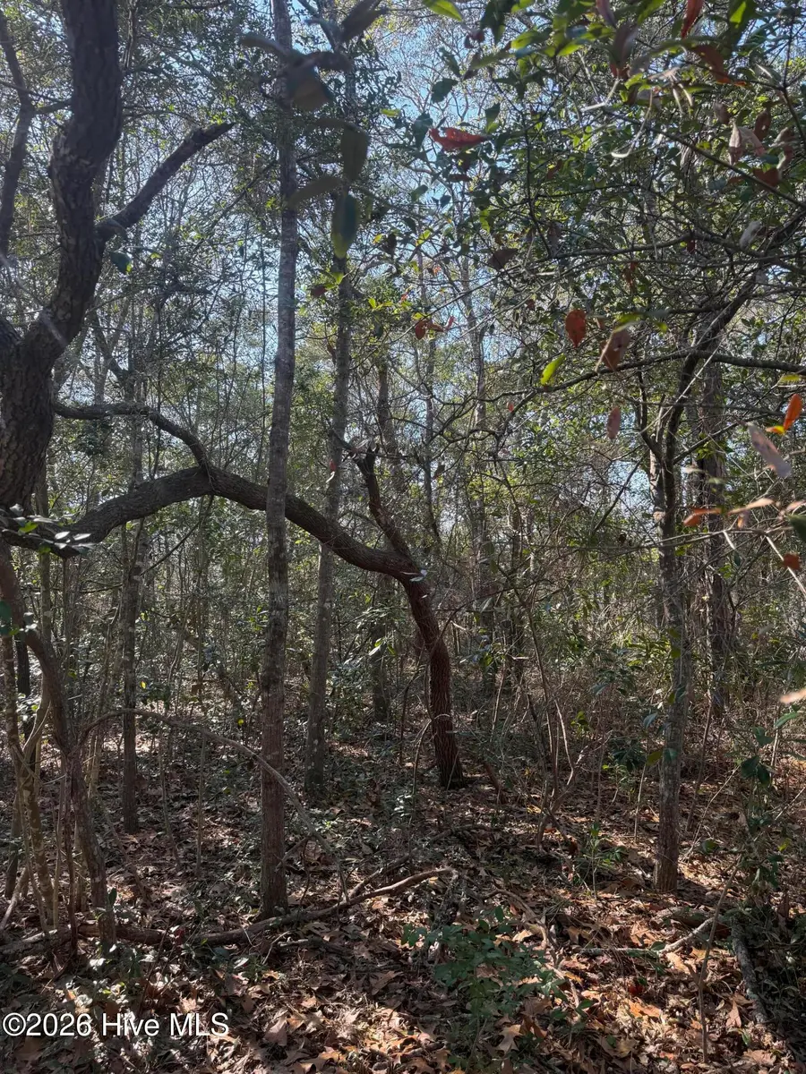 108 NW 3rd Street, Oak Island, NC 28465 - #2