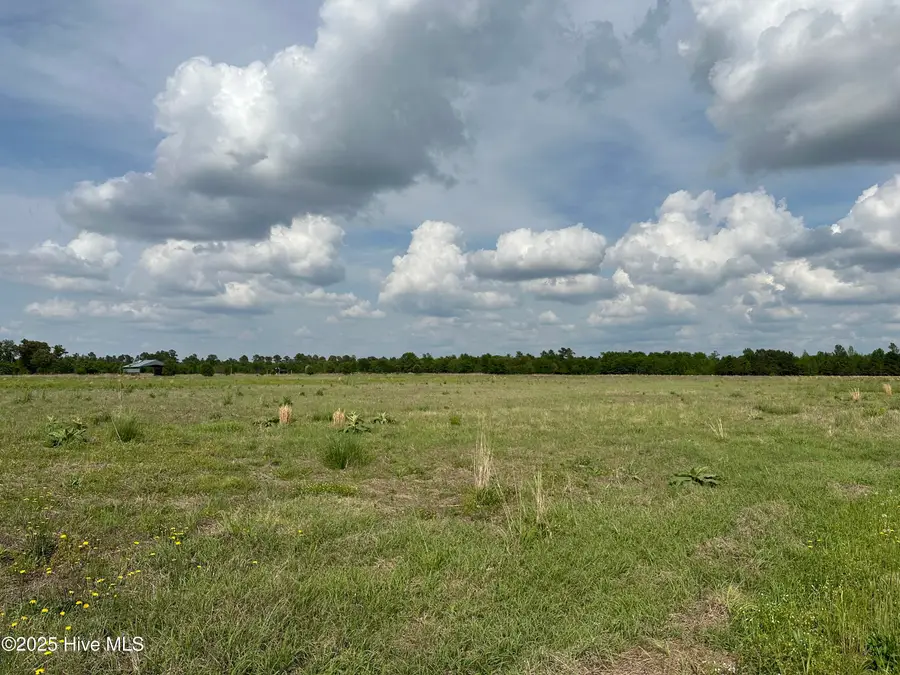 Lot 2 Mcgirt Road, Maxton, NC 28364 - #2