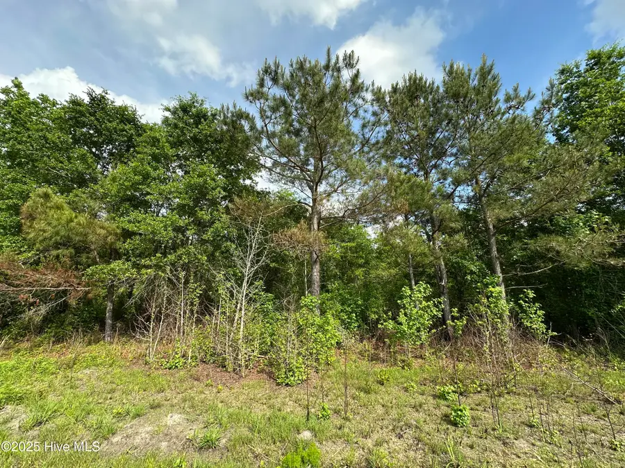 Lot 2 Mcgirt Road, Maxton, NC 28364 - #3