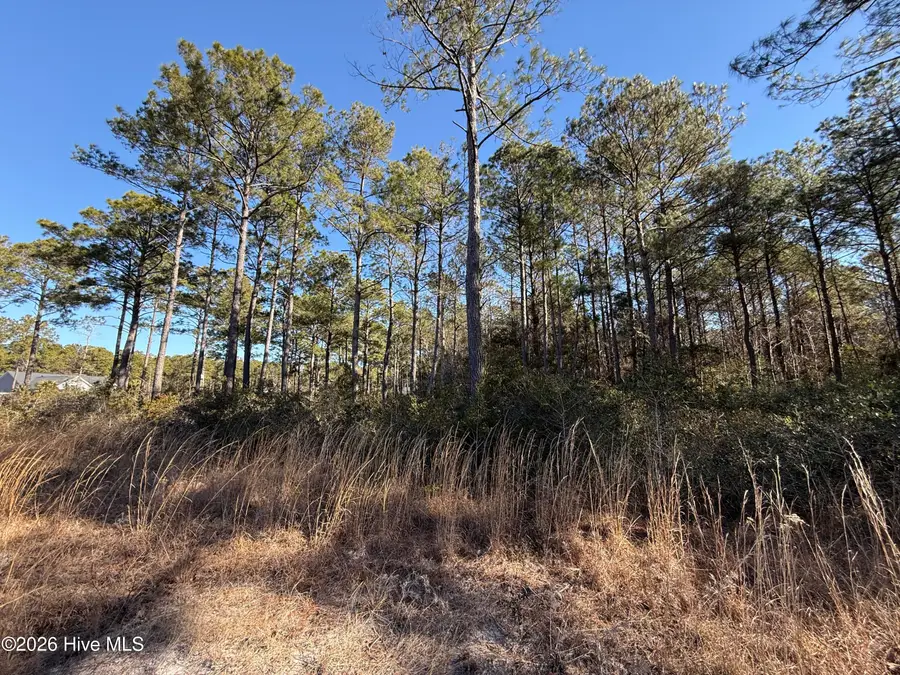 306 Livingston Court, Holly Ridge, NC 28445 - #2